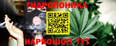 прущие крисы Новозыбков