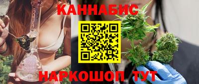 крисы Новокубанск