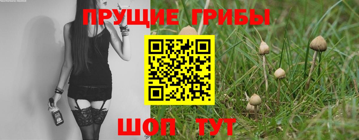 Галлюциногенные грибы прущие грибы  Галлюциногенные грибы MAGIC MUSHROOMS  Сургут  Вход с VPN 